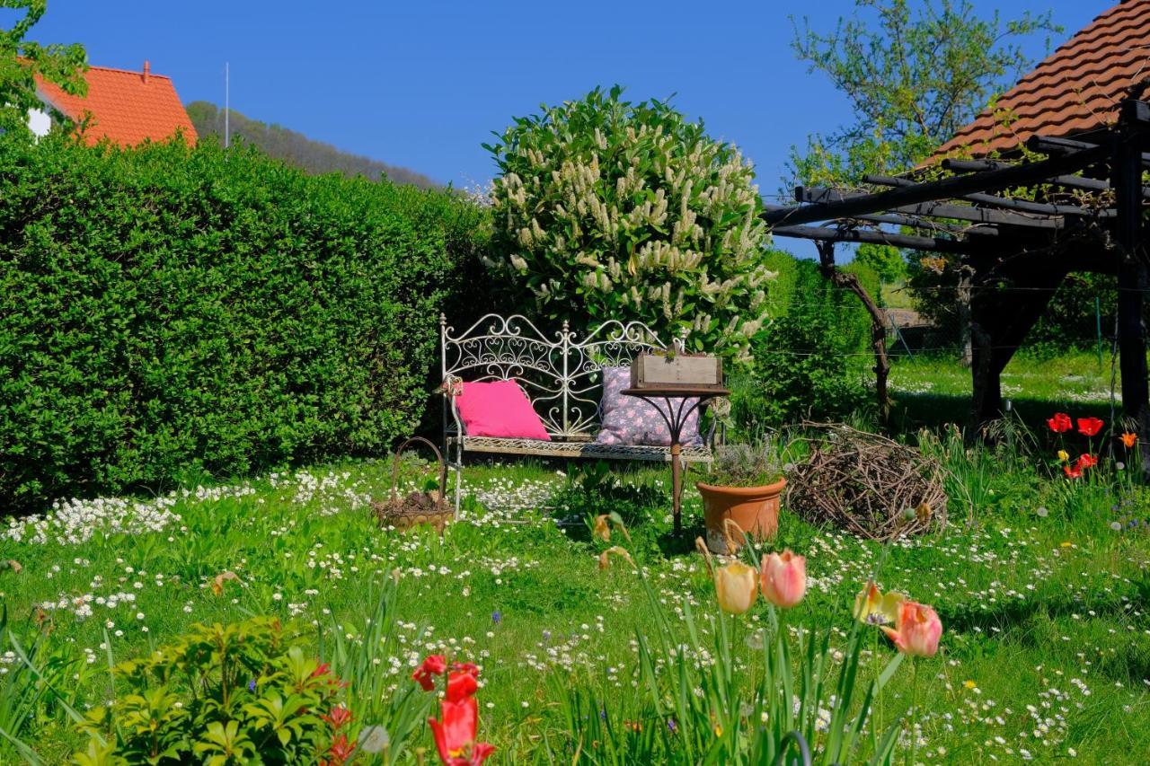 Ferienweingut Wissing Wohnung Frieda Gleiszellen-Gleishorbach Exterior foto